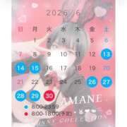 ヒメ日記 2026/05/30 22:16 投稿 アマネ バニーコレクション千葉栄町店