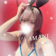 ヒメ日記 2026/06/15 02:01 投稿 アマネ バニーコレクション千葉栄町店