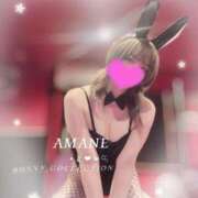 ヒメ日記 2026/07/13 01:36 投稿 アマネ バニーコレクション千葉栄町店