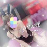 ヒメ日記 2026/07/13 16:30 投稿 アマネ バニーコレクション千葉栄町店