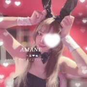 アマネ 一緒に笑お🐰💕 バニーコレクション千葉栄町店
