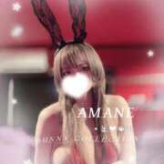 アマネ 🈵完売御礼🐰💕 バニーコレクション千葉栄町店