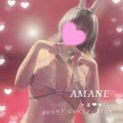 ヒメ日記 2026/10/04 08:02 投稿 アマネ バニーコレクション千葉栄町店