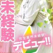 ヒメ日記 2026/02/14 15:59 投稿 ひな 京都BOOK MARK（ブックマーク）