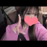 MAHIRU【マヒル】 11時 ~ 🐰🤍 ピンクコレクション大阪