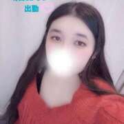 ヒメ日記 2026/02/24 00:26 投稿 あいり ちゃんこ幕張店