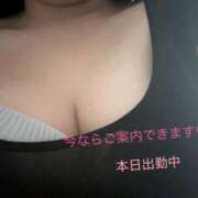 ヒメ日記 2026/02/24 14:44 投稿 あいり ちゃんこ幕張店