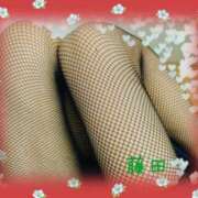 ヒメ日記 2026/02/23 16:13 投稿 藤田 遊び妻 木更津店