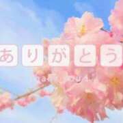 ヒメ日記 2026/04/15 14:13 投稿 こはる 待ちナビ