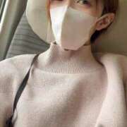 ユリ 朝からユリ💐 ピカソ