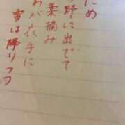 ヒメ日記 2026/03/25 07:01 投稿 ユリ ピカソ