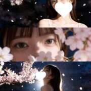 ユリ 朝からユリ💐 ピカソ