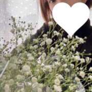 ユリ 埋まりました😊 ピカソ