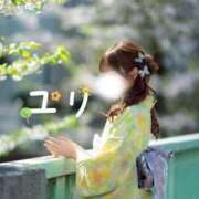 ヒメ日記 2026/04/09 00:33 投稿 ユリ ピカソ