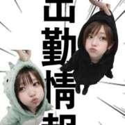 ヒメ日記 2026/04/12 10:02 投稿 ユリ ピカソ