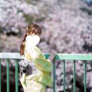 ヒメ日記 2026/04/18 09:31 投稿 ユリ ピカソ