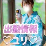 ユリ 💙🩵出勤情報🩵💙 ピカソ