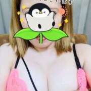 ヒメ日記 2026/09/22 12:30 投稿 このみ 丸妻 新横浜店
