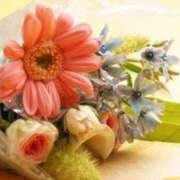 ヒメ日記 2026/02/15 23:12 投稿 田中（たなか） 熟女の風俗最終章 名古屋店