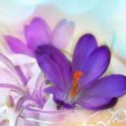 ヒメ日記 2026/02/17 20:38 投稿 田中（たなか） 熟女の風俗最終章 名古屋店