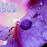 ヒメ日記 2026/02/25 18:02 投稿 田中（たなか） 熟女の風俗最終章 名古屋店