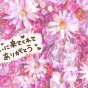 ヒメ日記 2026/02/26 09:02 投稿 田中（たなか） 熟女の風俗最終章 名古屋店