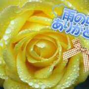 ヒメ日記 2026/03/04 08:42 投稿 田中（たなか） 熟女の風俗最終章 名古屋店