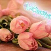 ヒメ日記 2026/03/05 08:52 投稿 田中（たなか） 熟女の風俗最終章 名古屋店