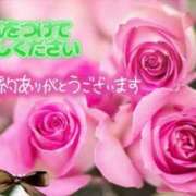 ヒメ日記 2026/03/09 18:22 投稿 田中（たなか） 熟女の風俗最終章 名古屋店