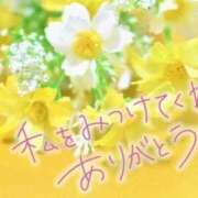 ヒメ日記 2026/03/18 23:02 投稿 田中（たなか） 熟女の風俗最終章 名古屋店