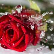 ヒメ日記 2026/04/01 08:42 投稿 田中（たなか） 熟女の風俗最終章 名古屋店