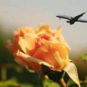 ヒメ日記 2026/04/09 12:22 投稿 田中（たなか） 熟女の風俗最終章 名古屋店