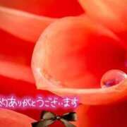 ヒメ日記 2026/04/13 08:32 投稿 田中（たなか） 熟女の風俗最終章 名古屋店