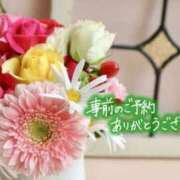 ヒメ日記 2026/04/13 08:47 投稿 田中（たなか） 熟女の風俗最終章 名古屋店