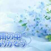 ヒメ日記 2026/04/15 21:54 投稿 田中（たなか） 熟女の風俗最終章 名古屋店