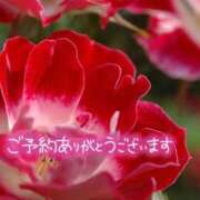 ヒメ日記 2026/04/16 20:32 投稿 田中（たなか） 熟女の風俗最終章 名古屋店