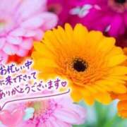 ヒメ日記 2026/04/25 20:36 投稿 田中（たなか） 熟女の風俗最終章 名古屋店