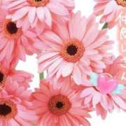 ヒメ日記 2026/04/27 23:22 投稿 田中（たなか） 熟女の風俗最終章 名古屋店