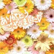 ヒメ日記 2026/04/30 00:02 投稿 田中（たなか） 熟女の風俗最終章 名古屋店