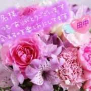 ヒメ日記 2026/05/16 18:22 投稿 田中（たなか） 熟女の風俗最終章 名古屋店