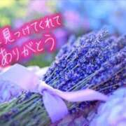 ヒメ日記 2026/05/30 18:32 投稿 田中（たなか） 熟女の風俗最終章 名古屋店