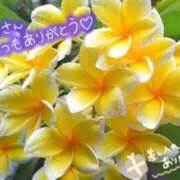 ヒメ日記 2026/06/23 08:42 投稿 田中（たなか） 熟女の風俗最終章 名古屋店