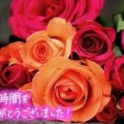 ヒメ日記 2026/07/03 08:42 投稿 田中（たなか） 熟女の風俗最終章 名古屋店