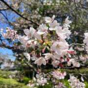 ヒメ日記 2026/04/03 15:36 投稿 るか E+アイドルスクール