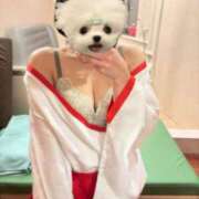 桜田もか 🤍🤍 川崎小町（川崎ハレ系）