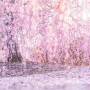 ヒメ日記 2026/03/13 13:10 投稿 愛織(あいり) 梅田泡洗体ハイブリッドエステ