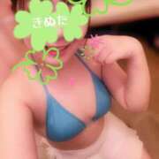 砧なでこ うっかり🫧 すべりん棒シャンプー娘。（横浜ハレ系）