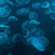 ヒメ日記 2026/02/22 05:54 投稿 海(うみ) 人妻城 横浜本店