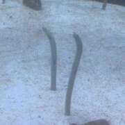 ヒメ日記 2026/03/02 10:01 投稿 海(うみ) 人妻城 横浜本店