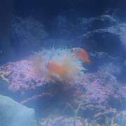 ヒメ日記 2026/04/08 17:14 投稿 海(うみ) 人妻城 横浜本店